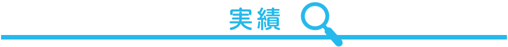 実績