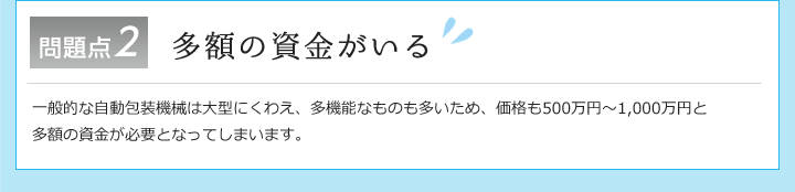 問題点② 多額の資金がいる